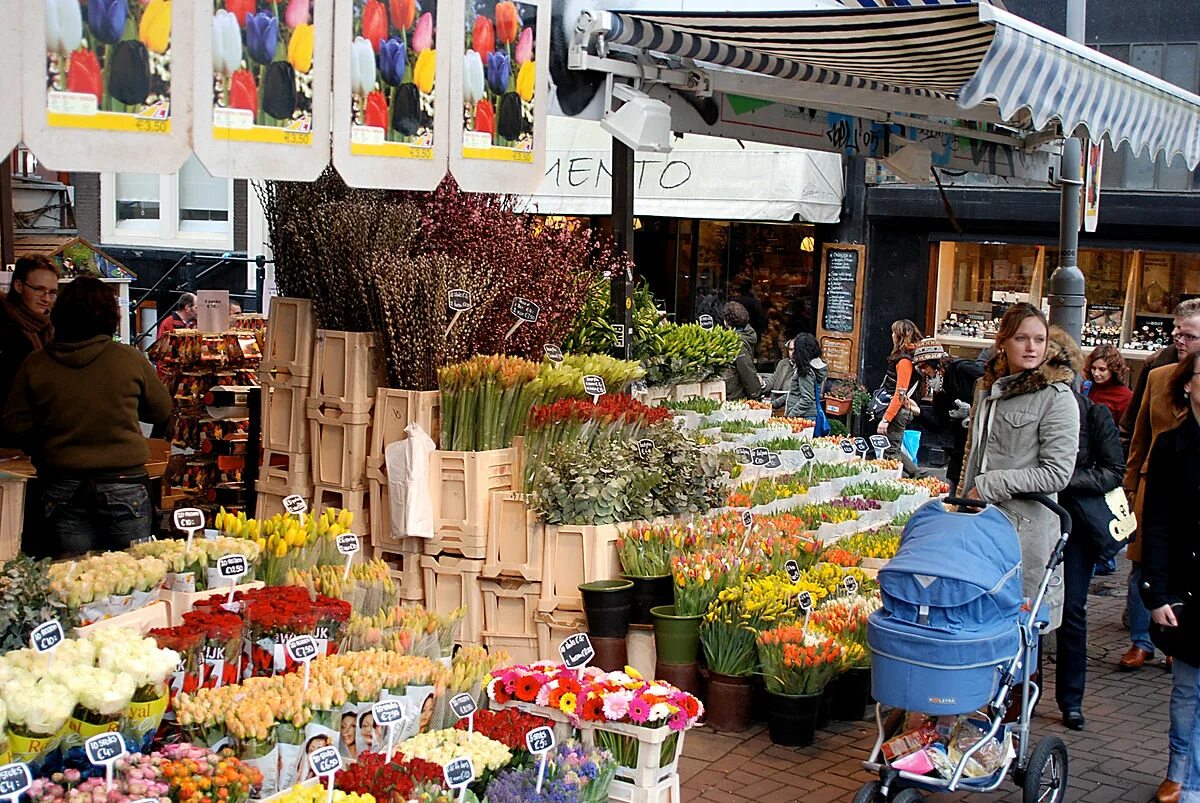 Новый цветочный рынок. Bloemenmarkt в Амстердаме. Рынок тюльпанов в Амстердаме. Плавучий рынок Амстердам. Плавучий цветочный рынок в Амстердаме.