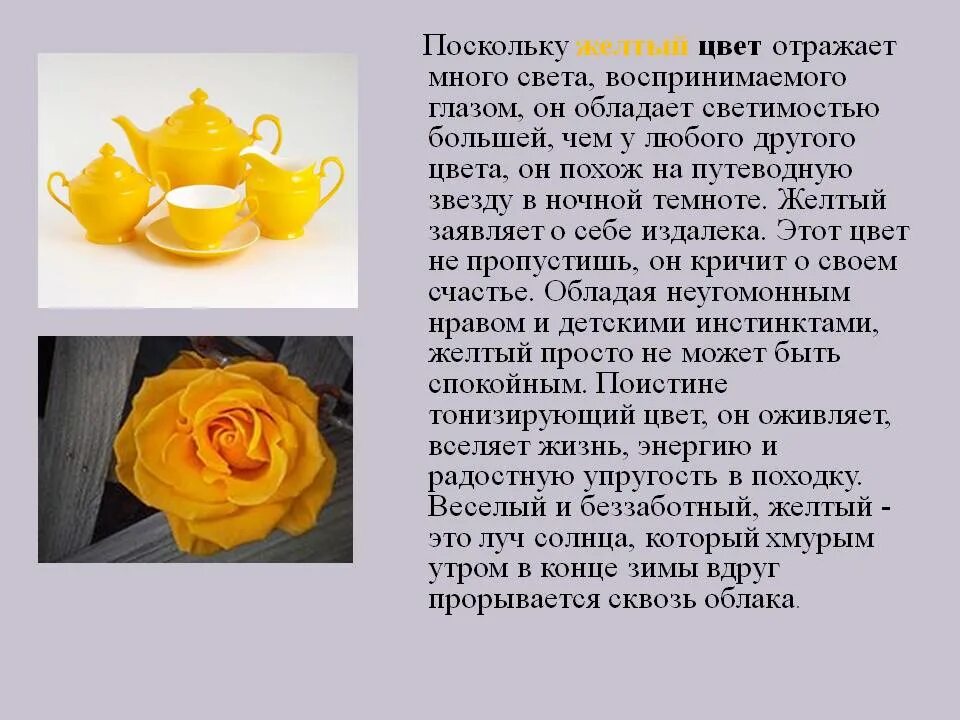 Что означает желтый тюльпан на языке цветов. Факты о желтом цвете. Сообщение о желтом цвете. Желтый интересный цвет. Желтый цвет в психологии.