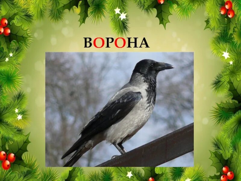 Птица ворон текст. Словарные птицы. ворона с подписью. словарная работа ворона. ворона слайды.