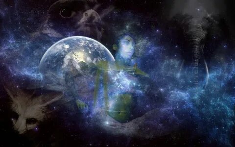 Zen space