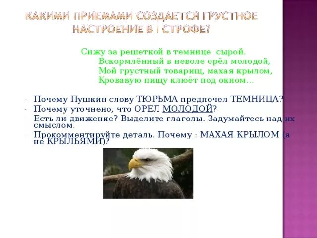 Вскормлённый в неволе орёл молодой. Сижу за решёткой в темнице сырой вскормлённый в неволе Орел молодой. Вскормленный в неволе. Вскормлённый в неволе орёл молодой стих.