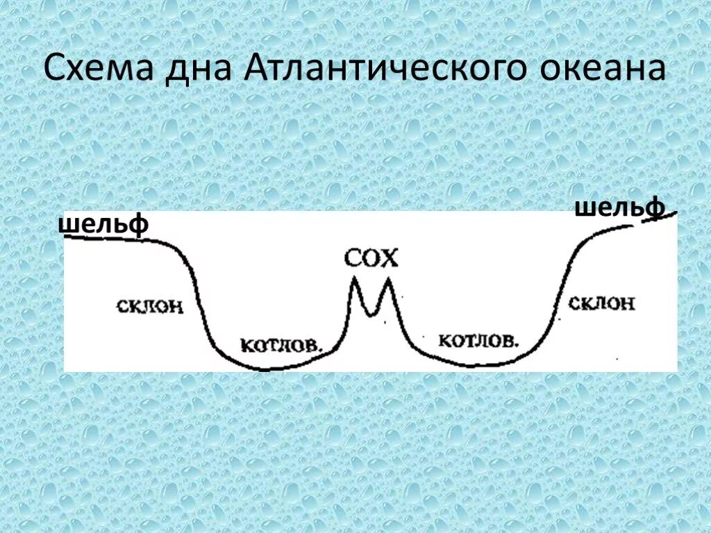 Форма рельефа дна океана. Рельеф дна мирового океана 6 класс география схема. Рельеф дна мирового океана схема. Формы рельефа дна мирового океана схема. Рельеф дна Атлантического океана схема.