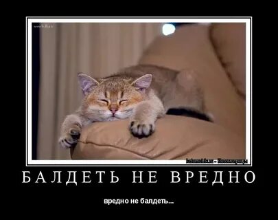 Как пишется обалдела или