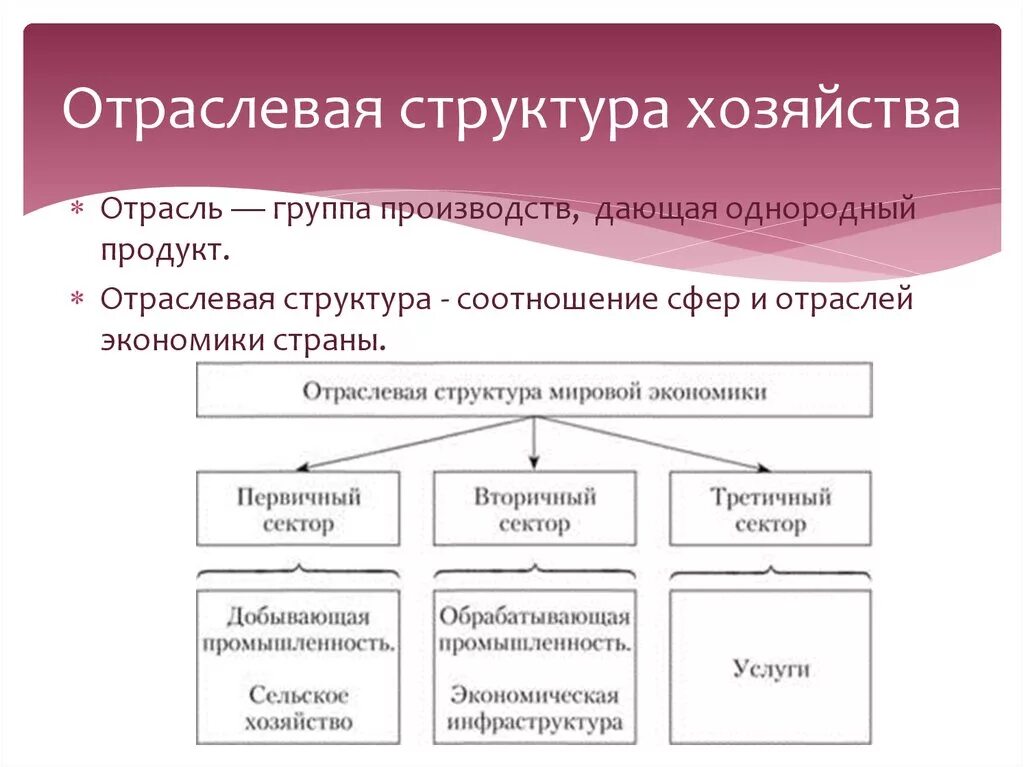 Деятельность любой отрасли. Отра левая структура хозяйства. Отраслевая структура экономики. Отраслевая структура эко. Отраслевая структура хозяйства схема.