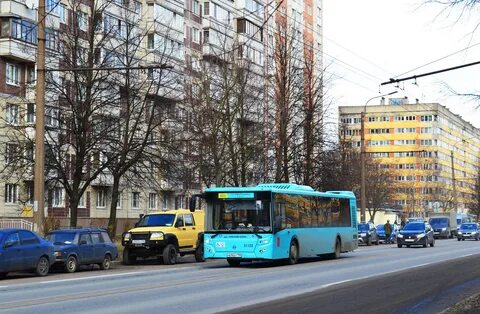 246 спб