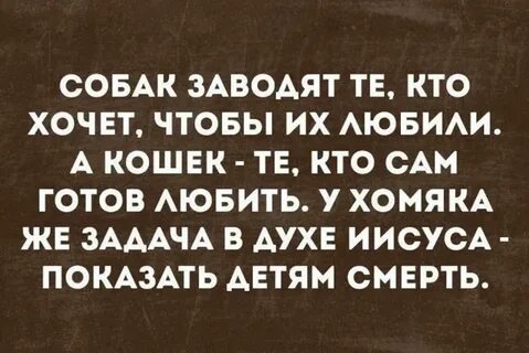 Задача хомяка