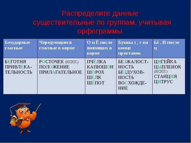 Имя существительное 5 класс. Имя существительное 5 класс презентация. Тема существительное 5 класс. Схема существительного 5 класс.