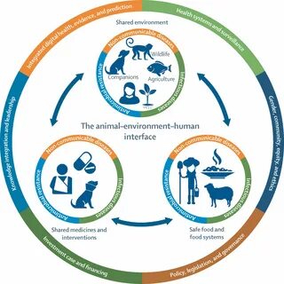 Human environment is