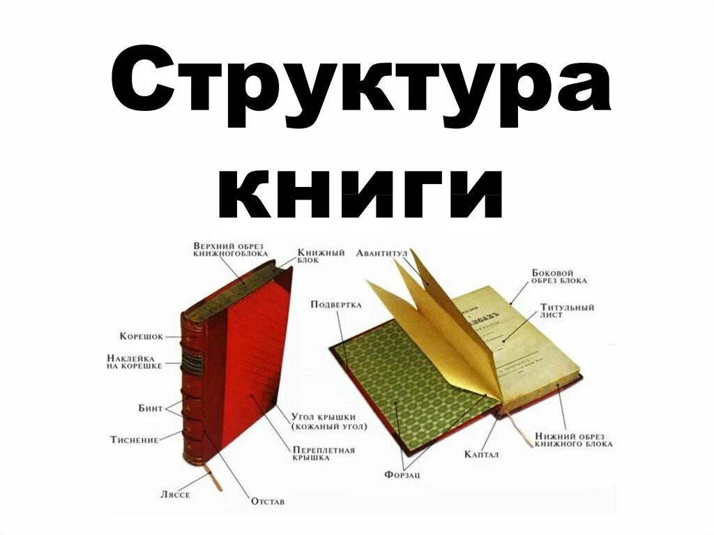 Структурные элементы книги. Структура книги. Строение книжки. Элементы книги для детей. Книга стр 33