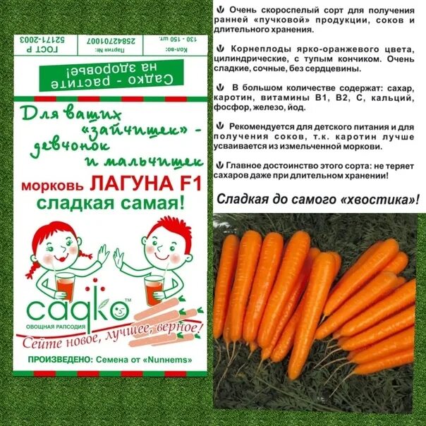 Самая вкусная морковь сорта. Морковка во вкусно и точка. морковь лагуна. нарбоне. наргун.