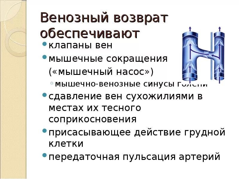 Клапаны обеспечивают. Кровь из правого желудочка поступает в. Полулунные клапаны обеспечивают однонаправленное движение крови. Полулунные клапаны обеспечивают однонаправленное движение крови. Направление крови в сердце.