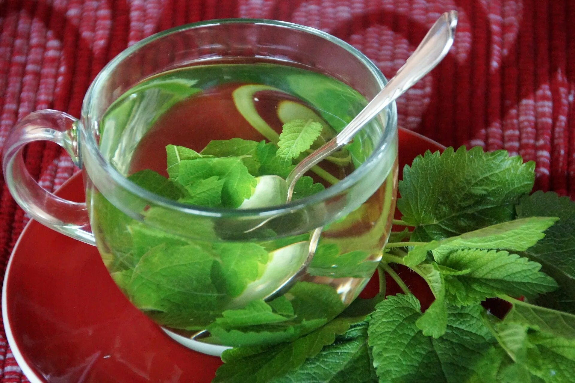 Мята чай для женщин. Зеленый чай с мелиссой. Зелёный чай с мятой и мелиссой. Чай с мятой.