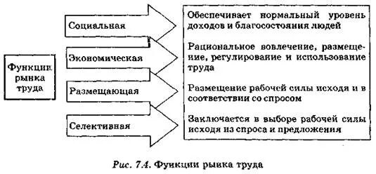 Функции и особенности рынка труда.