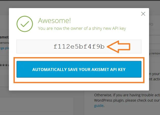 Vi. Spam последняя версия. Activate API Key. Akismet Anti-Spam: Spam Protection иконка плагина. Куда вставлять АПИ ключ NMM. Кс маркет api