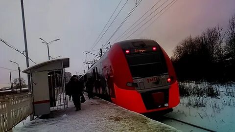 Ласточка рощино санкт петербург