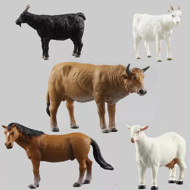 Корова овца лошадь. Коровы овцы козы. Баран корова лошадь. Корова и лошадь. Корова коза овца свинья