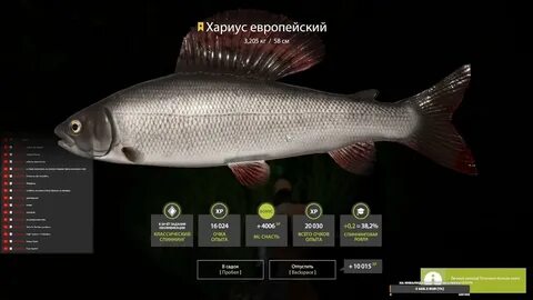 Белый байкальский хариус реальная рыбалка