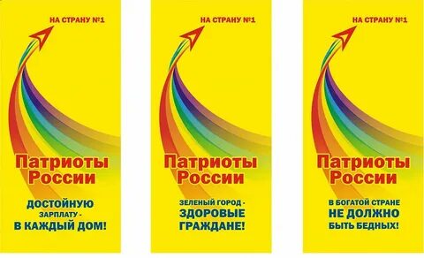 Партия патриоты