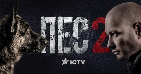 Пес 5 имя пса