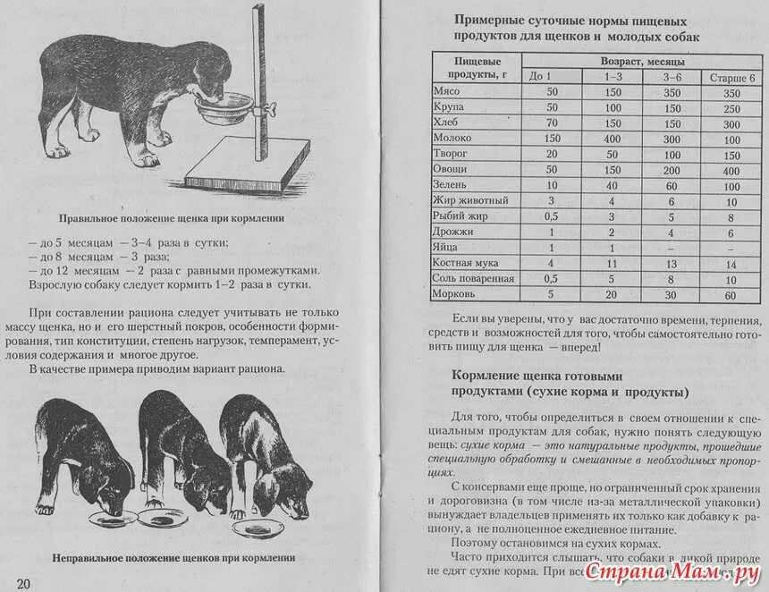 Сколько корма давать щенку в 2 месяца немецкой овчарки. Рацион питания щенка немецкой овчарки 1.5. Кормление щенка немецкой овчарки 2-3 месяцев натуральное рацион. Рацион питания щенка немецкой овчарки в 1 мес.