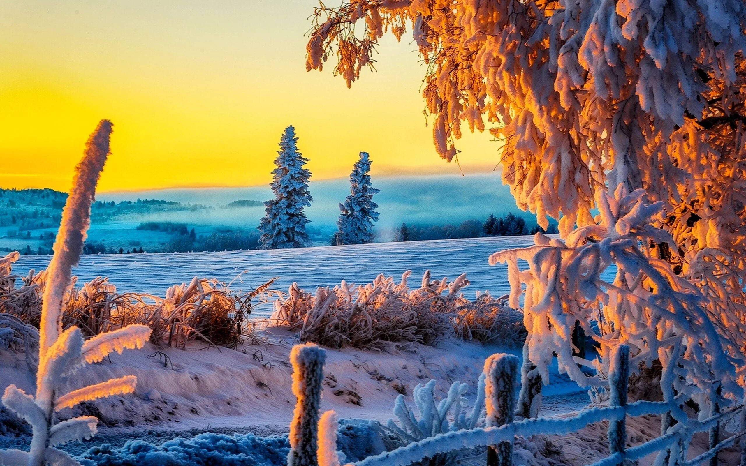 Photographie Hiver Cabane Arbre Snow Forêt Fond d'écran Winter nature, Snow phot