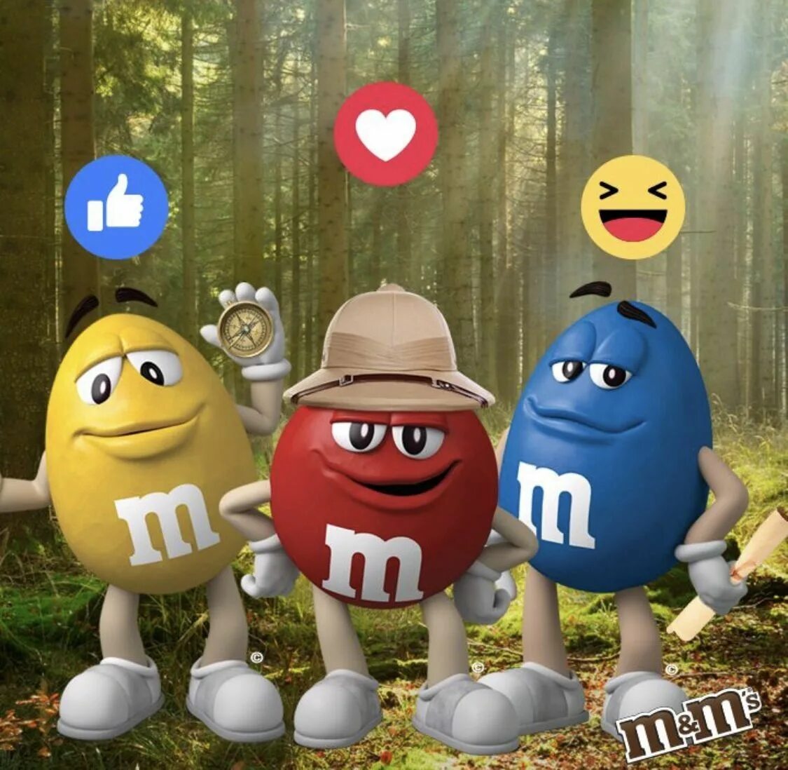M ms реклама