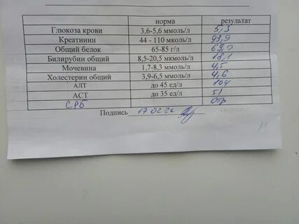 Билирубин общий повышен что это у женщин