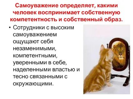 Самоуважение синонимы