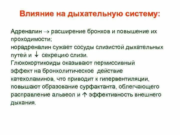 Адреналин оказывает на дыхательную систему влияние. Влияние адреналина на дыхание. Как стресс влияет на дыхательную систему. Влияние адреналина на бронхи. Адреналин влияние на нервную систему