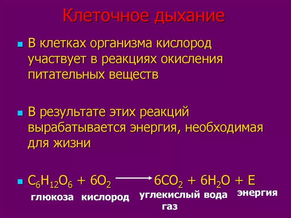 Описание клеточного дыхания