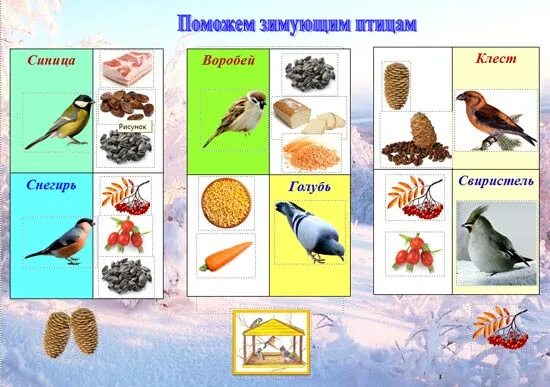 Корм зимующих птицах для дошкольников. Зимующие птицы для детей ДОУ. Чем питаются зимующие птицы для детей. Зимующие птицы занятие для малышей.