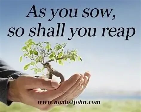 So shall