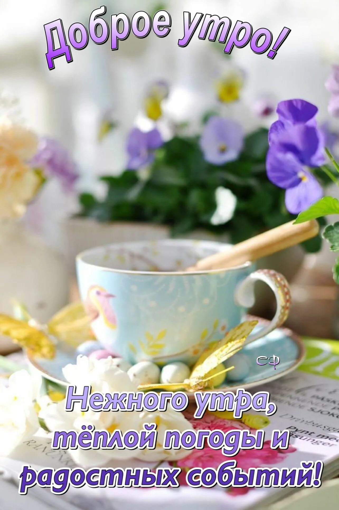 День начинается с доброго утра картинки