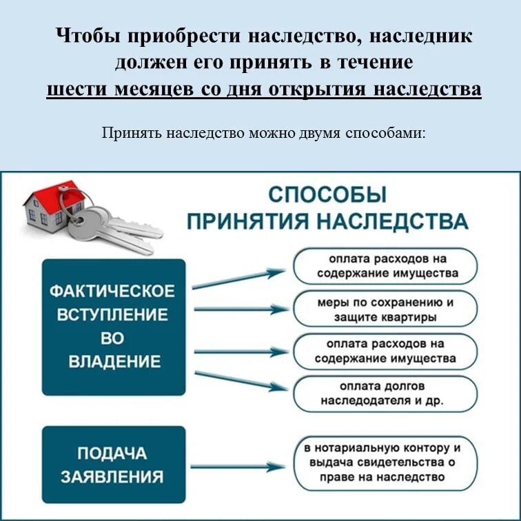 Порядок принятия наследства схема. Способы вступления в наследство. Способы принятия наследства схема. Два способа принятия наследства. Непринятия наследства наследником