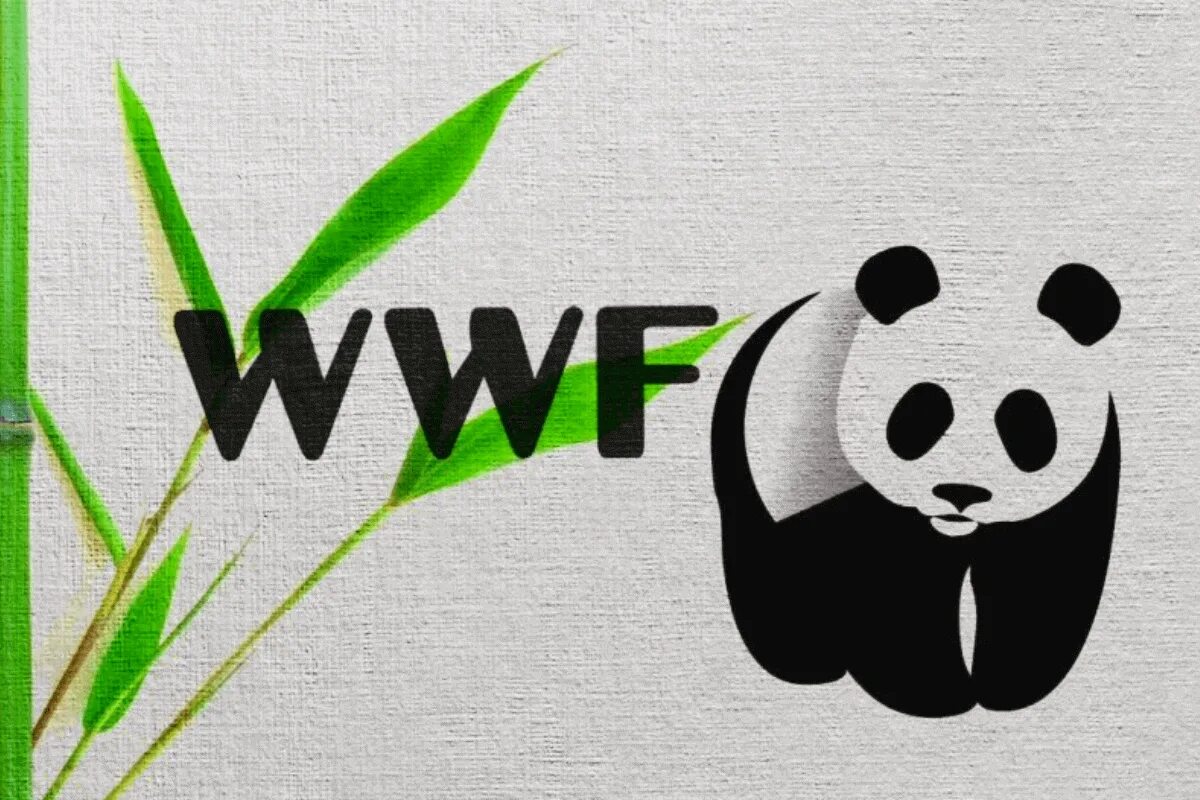 Всемирный фонд охраны дикой природы WWF. Панда символ Всемирного фонда дикой природы. Фонд дикой природы WWF логотип. Всемирный фонл дикой природа.