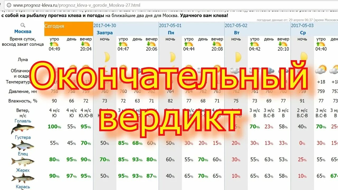 Прогноз погоды для рыбалки. Приложение клёв рыбы. Погода для рыбалки на завтра. Прогноз рыбалки на завтра.