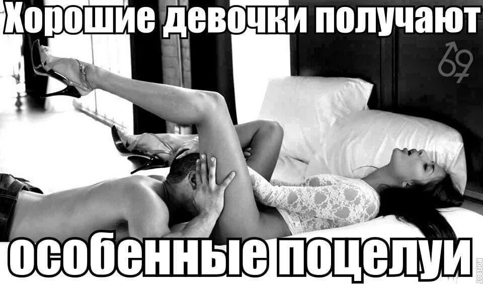 Куни Каждое Утро