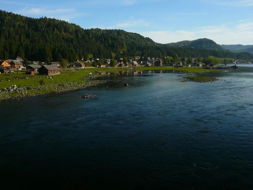 Иогач горный алтай. Иогач горный алтай. Посёлок артыбаш на телецком озере. Артыбаш алтай село. Иогач горный алтай.