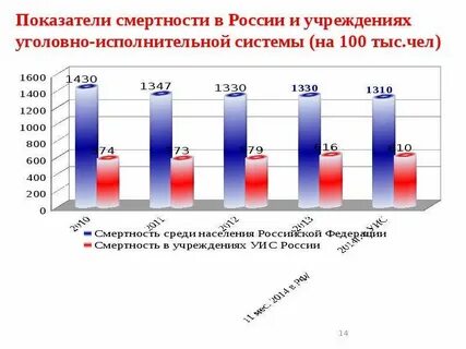 Сервис ивс обеспечивает ответы сдо