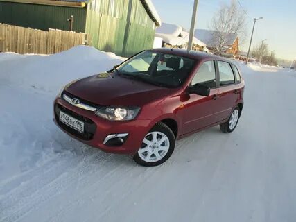 Калина огонь