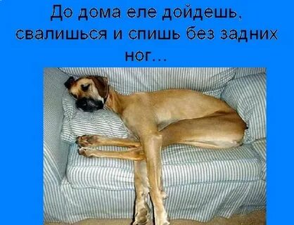 Еле еле кое где