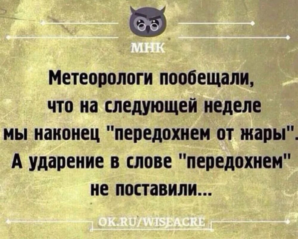 Посмотри на следующую неделю. Смешные высказывания про жару. Прикольные фразы про жару. Прикольные высказывания про жару. Анекдот про жару прикольные.