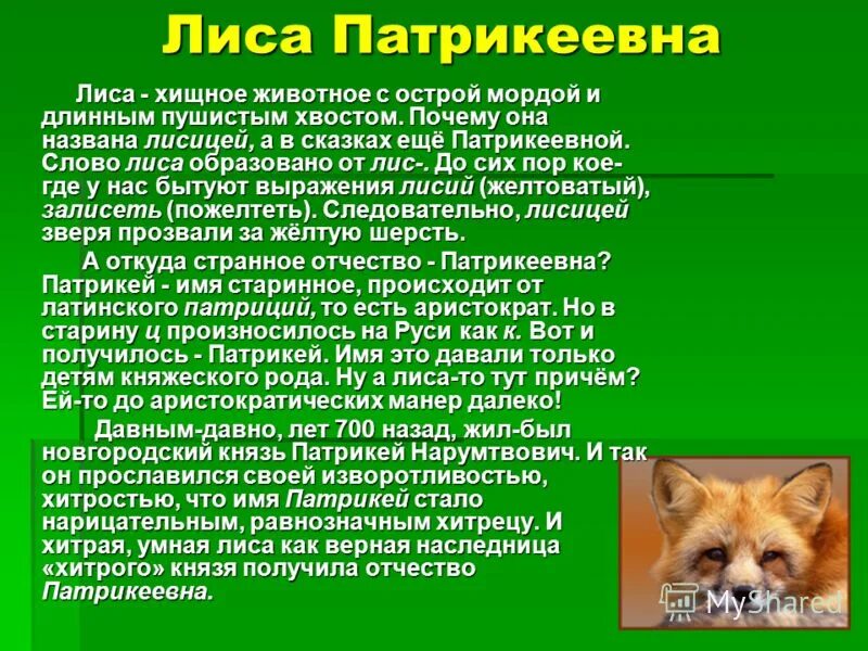 Составь описание животных. Рассказ про лису. Текст про лису. Описание лисы. Лиса доклад.