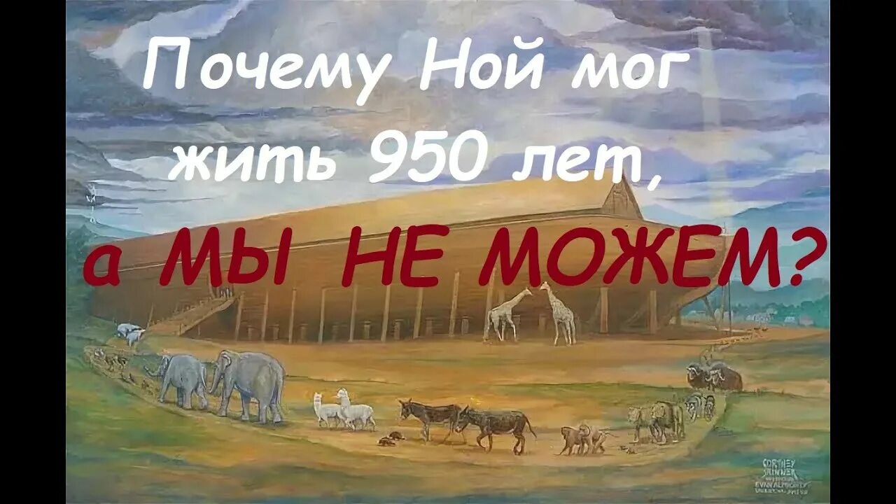 Сколько лет было ною. Ной жил 950 лет. Ной жив. Ной жил в Двапара югу. Почему Ной тогда.