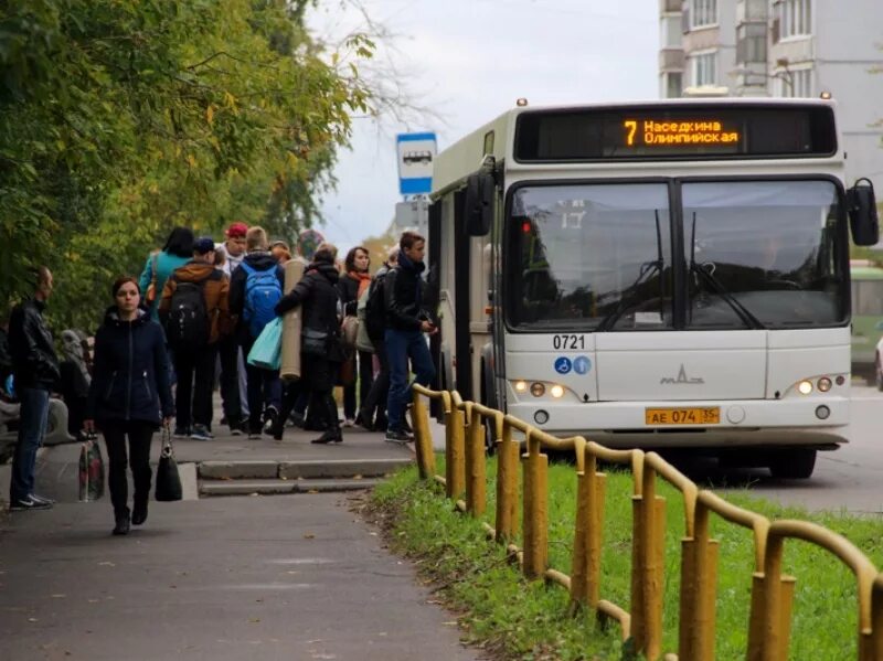 Пассажирский автобус автоколонна 1456. Дачные автобусы Череповец. Автоколонна 1456 Череповец. Новотранс Череповец 18 автобус. Включи 3 автобуса