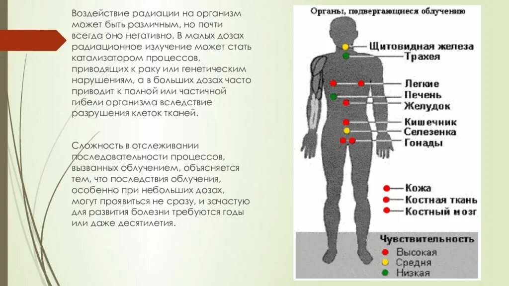 Что происходит с радиоактивными. Действие радиационного излучения на организм человека. Последствия радиационного излучения на людей. Воздействие радиации на органы человека. Влияние радиоактивного излучения на организм человека.