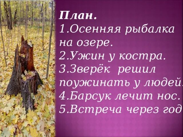 Иллюстрация к рассказу барсучий нос Паустовский. К. Паустовский "барсучий нос". Осенняя рыбалка на озере барсучий нос. Паустовский барсучий нос 3 класс. Паустовский барсучий нос 3 класс презентация