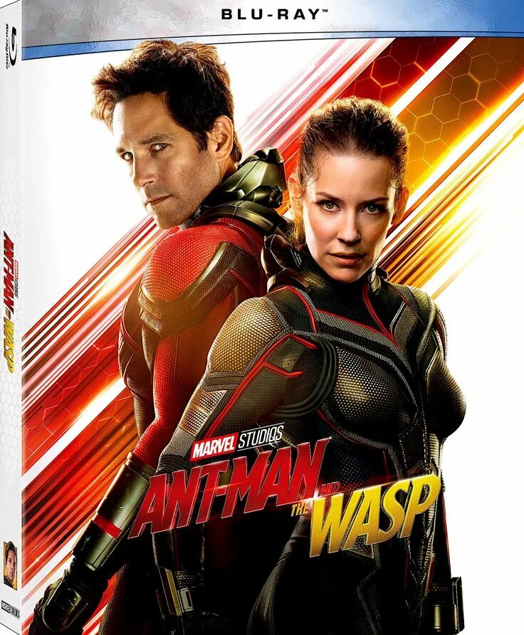 The wasp 2025