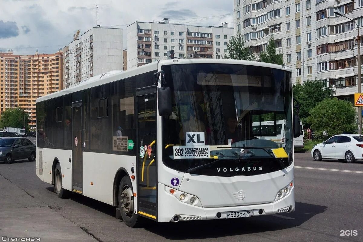 Королев автобусов 15
