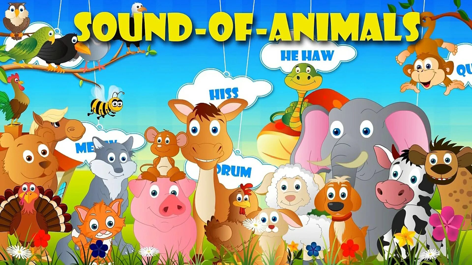Обитатели песня. Animal Sounds Song зоопарк. Animal Sounds Song for Kids. Animals animals Song Nursery Rhymes. Animals Sounds|animals Sounds for Kids.